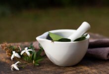 well health organic Ayurveda